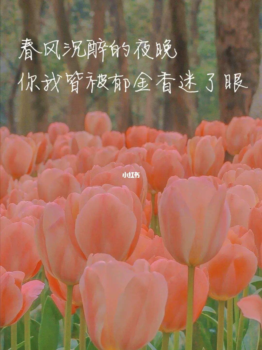 给自己的浪漫简短文案(给自己的浪漫简短文案英文)
