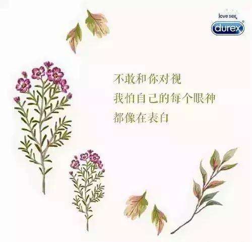 表白文案长一点(表白文案长篇30句以上)