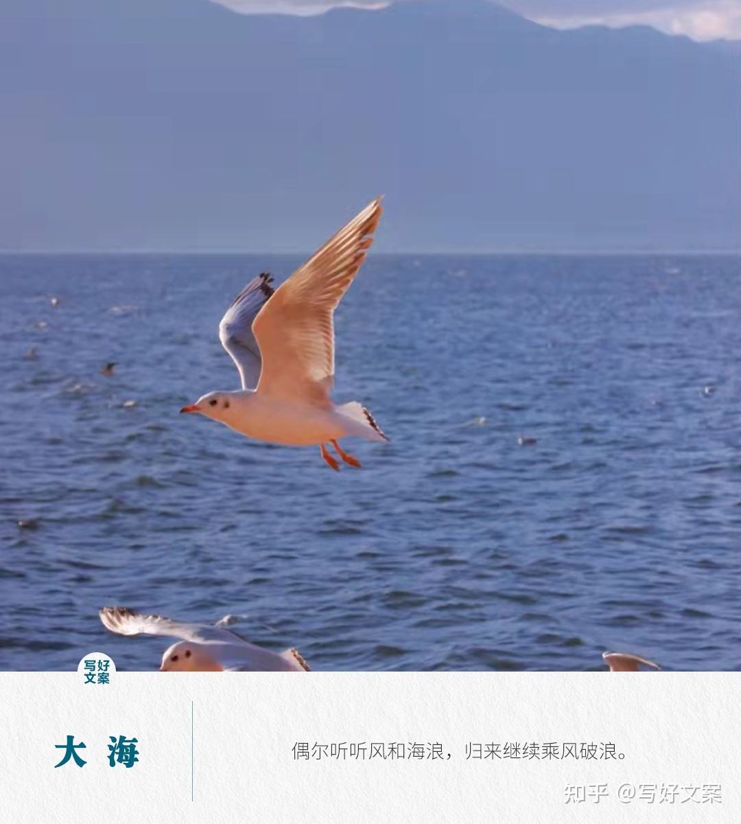 海滩文案(海滩文案短句)