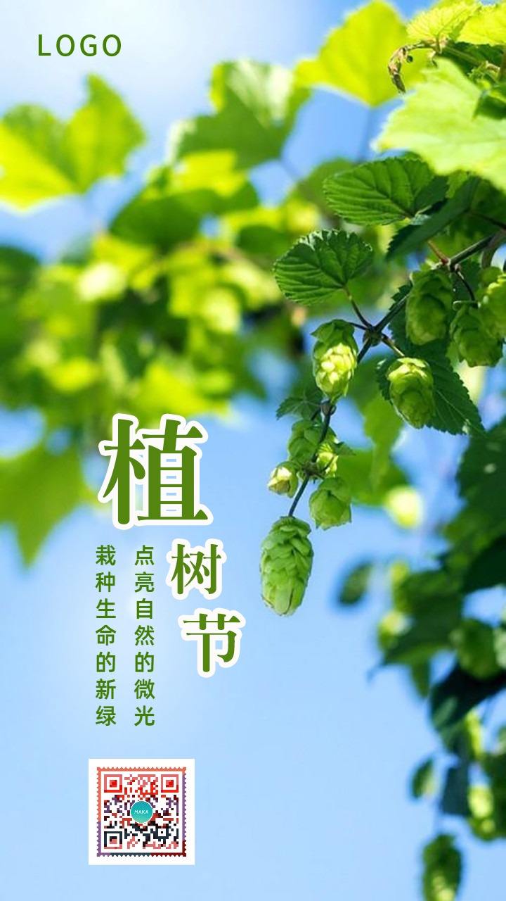 3.12植树节文案(312植树节文案幼儿园)