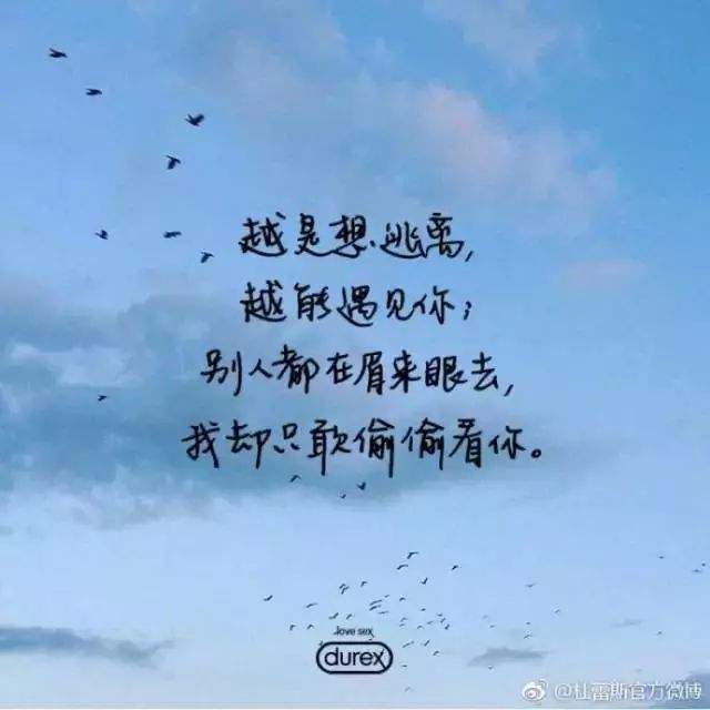 情话文案配音(情话文案配音素材)