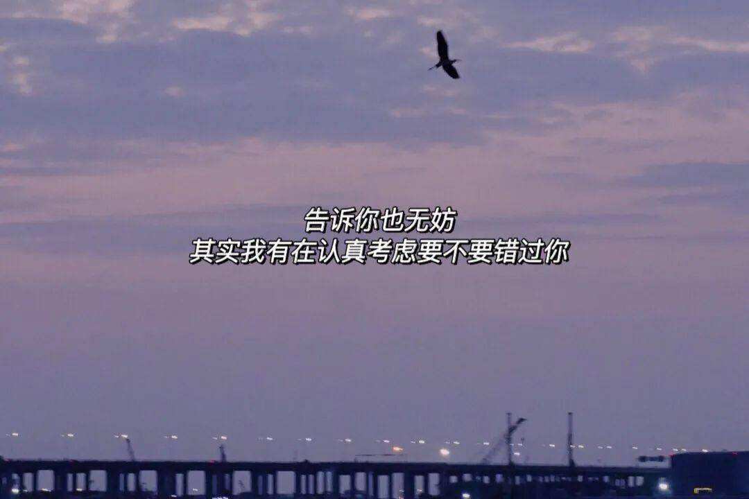 感情长文案(感情文案短文)